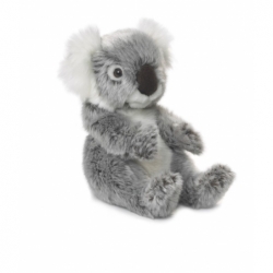 Peluche Koala - 15cm