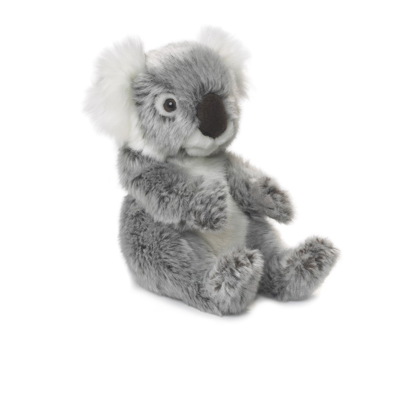Peluche Koala - 15cm