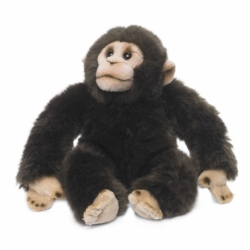Peluche Chimpanzé - 23cm