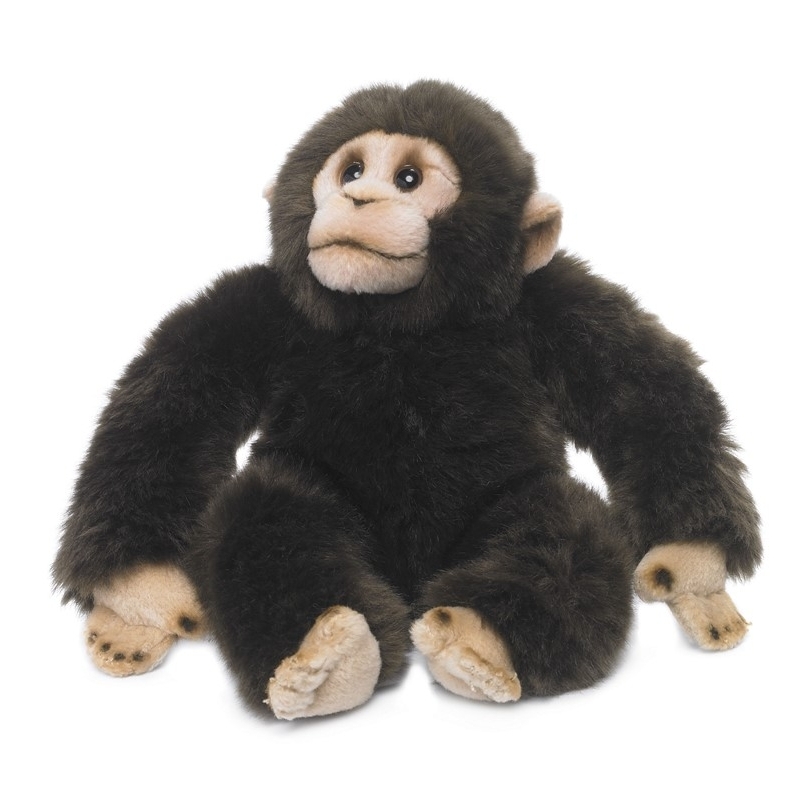 Peluche Chimpanzé - 23cm