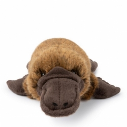 Peluche Ornithorynque Marron - 22 cm