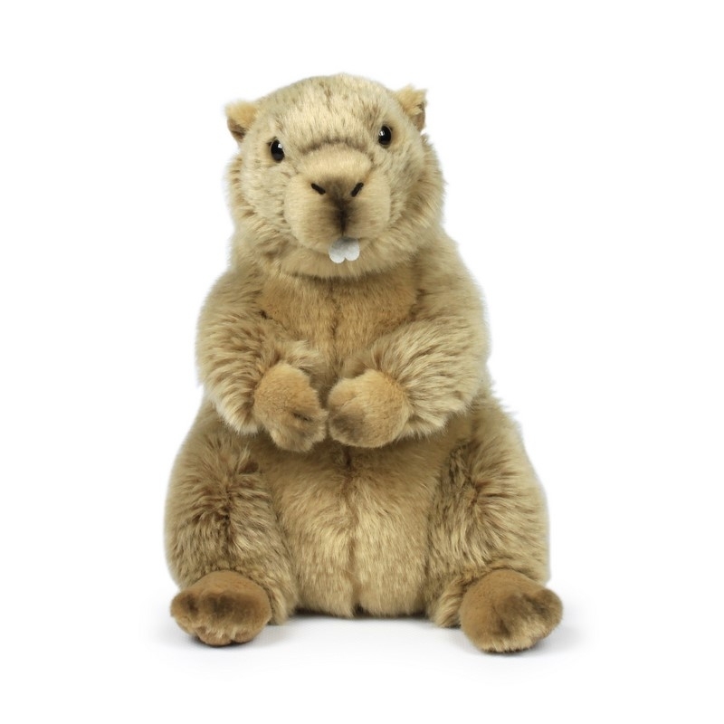 Peluche Marmotte - 23cm