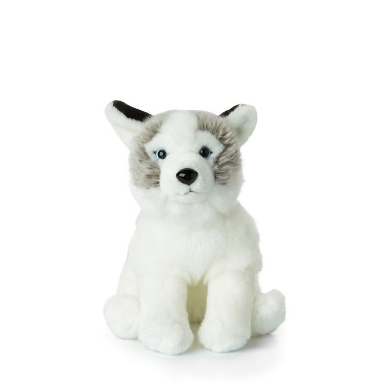 Peluche Husky - 23cm