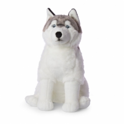 Peluche GEANT - Husky - 70 cm