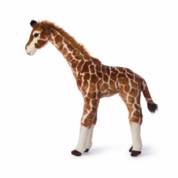 Peluche GEANT- Girafe - 75 cm