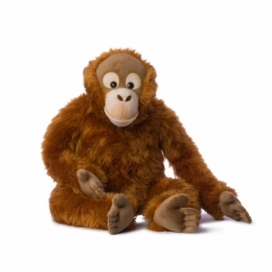 Peluche GEANT - Orang-outang - 100 cm