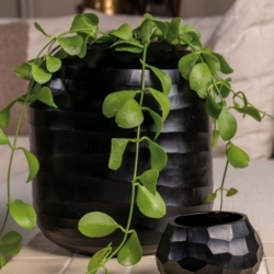 Vase Kenvill noir bold - Ø25x27cm