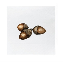 Serviettes en papier - Christmas nuts - 20pcs -...