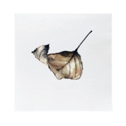 Serviettes en papier - Autumn leaf - 20pcs -...