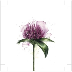 Serviettes en papier - Clover flower - 20pcs -...