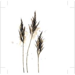 Serviettes en papier - Reed - 20pcs - 16x16cm